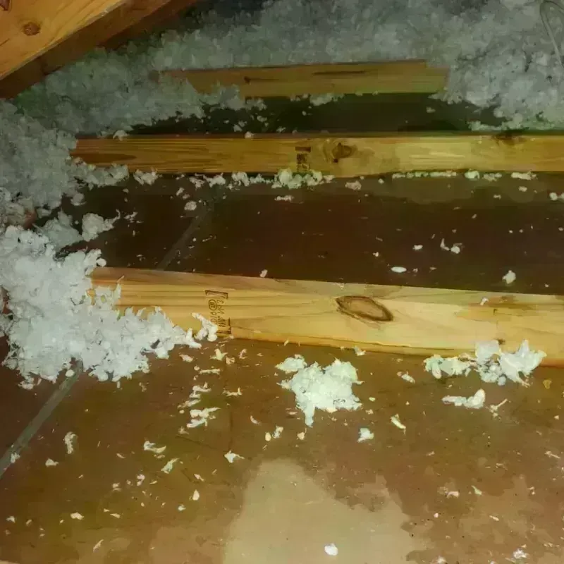 Attic Water Damage in Camden County, NC