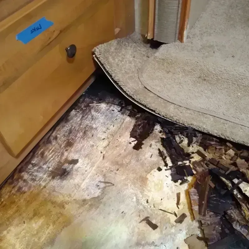 Wood Floor Water Damage in Camden County, NC